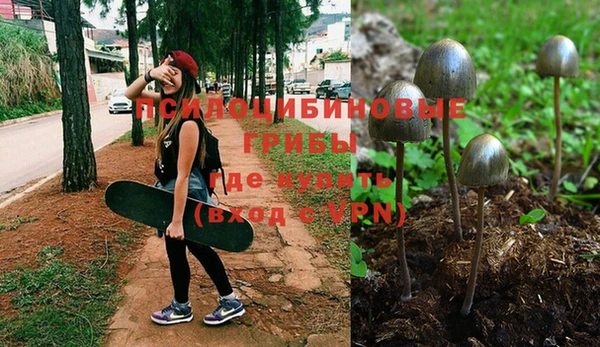 бошки Арсеньев
