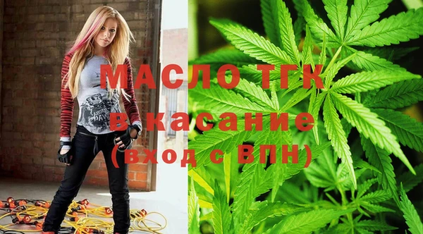 индика Алексеевка