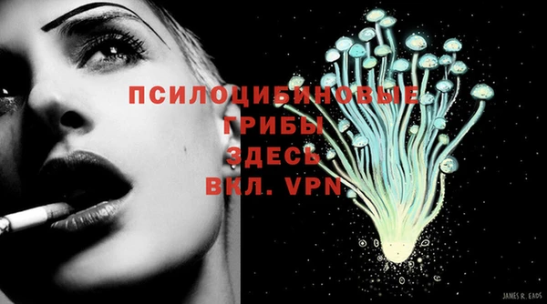 apvp Алзамай